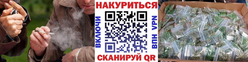 Купить закладки  Нытва  Бошки марихуана SATIVA & INDICA 
